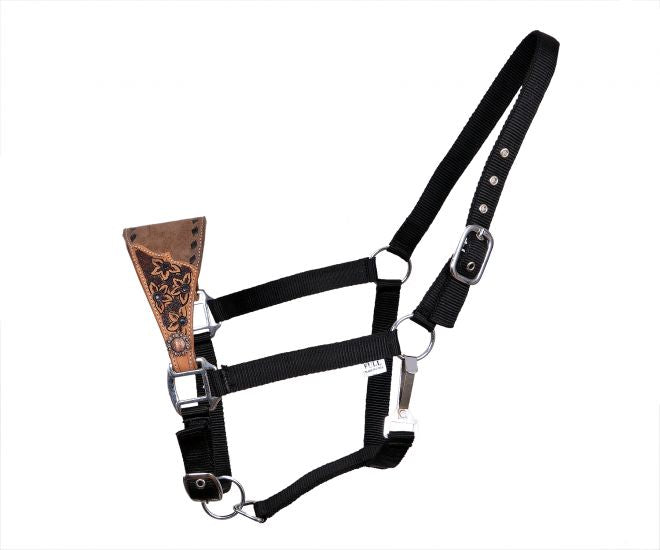 Showman Adjustable Nylon Bronc Halter Medium Leather with Floral Tooling and Black Buck Stitch