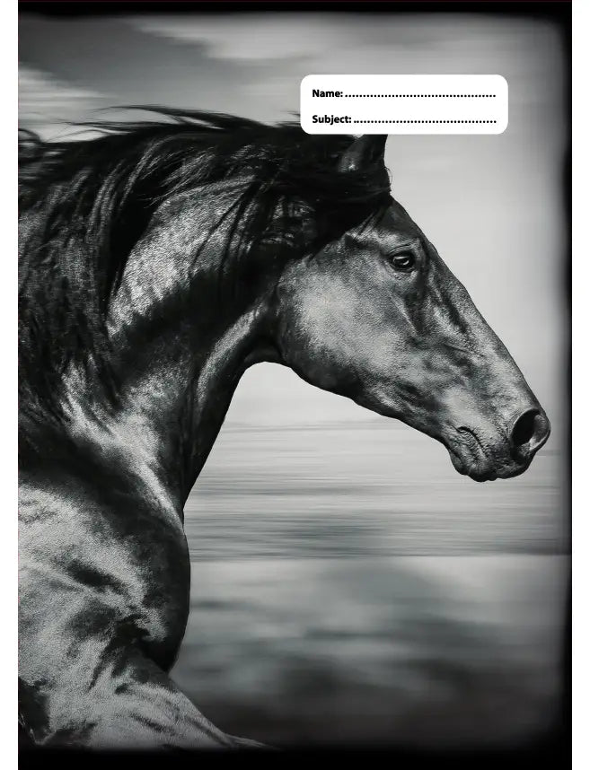 Spencil A4 Book Cover - Black and White Horses 5