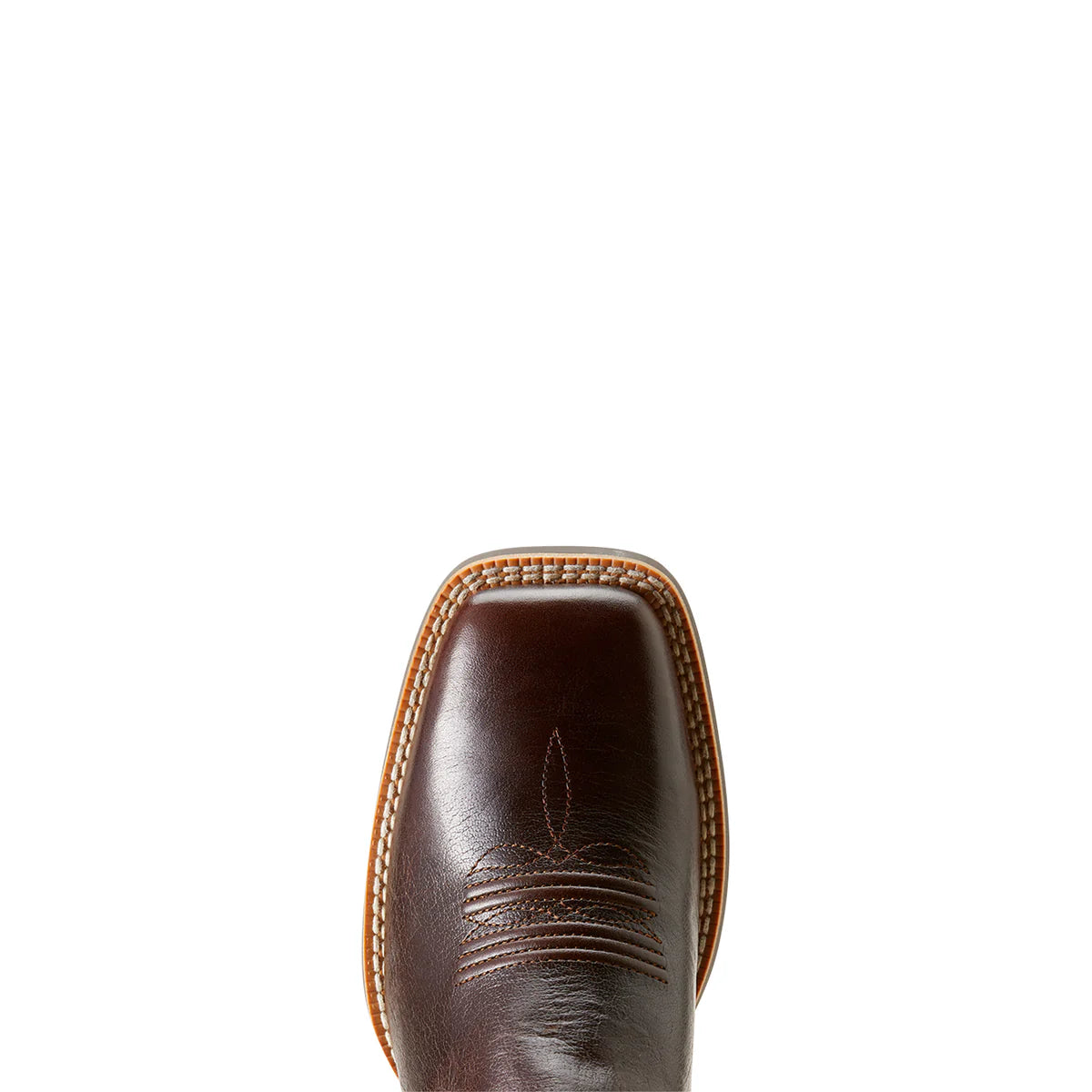 Ariat Wms Gillette Arizona Brown/Marble Brown