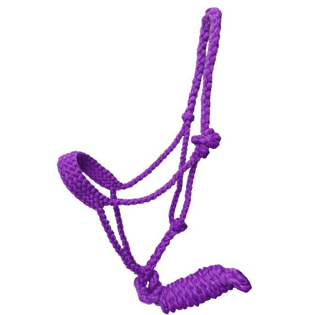 Showman Braided Halter
