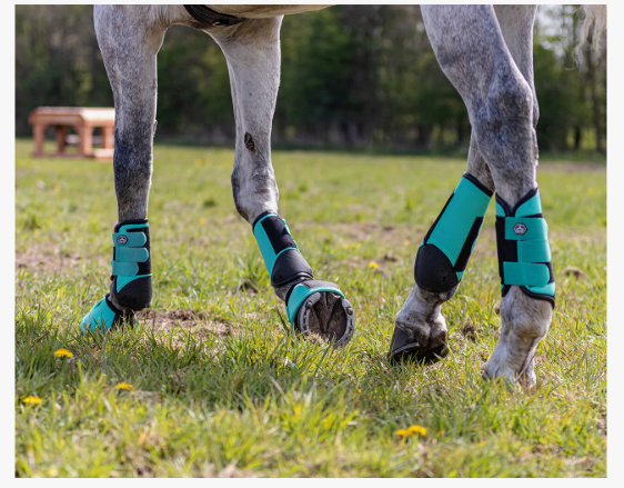 QHP Eventing Boots Hind Leg Technical