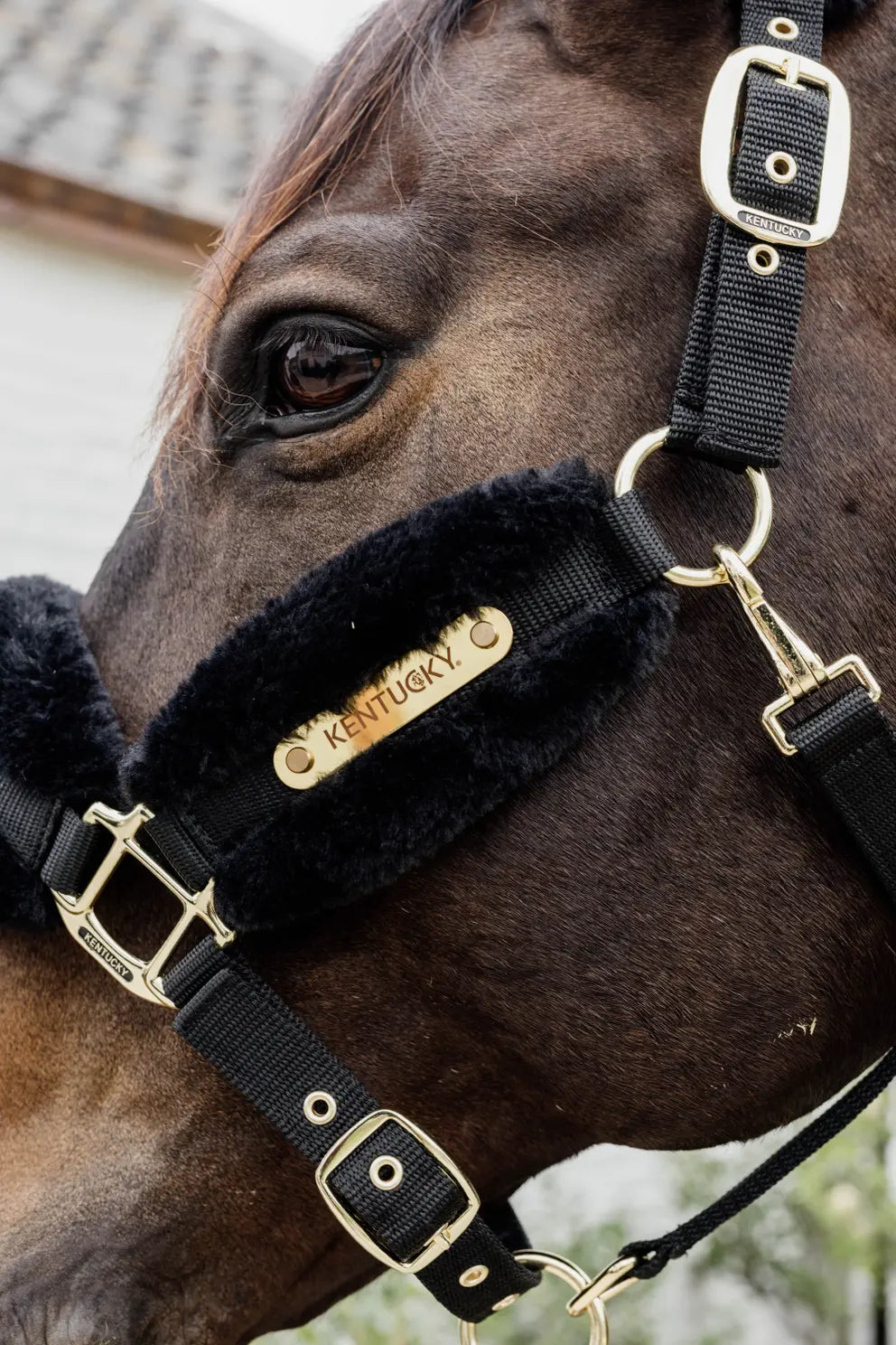 Kentucky Nylon Sheepskin Soft Halter