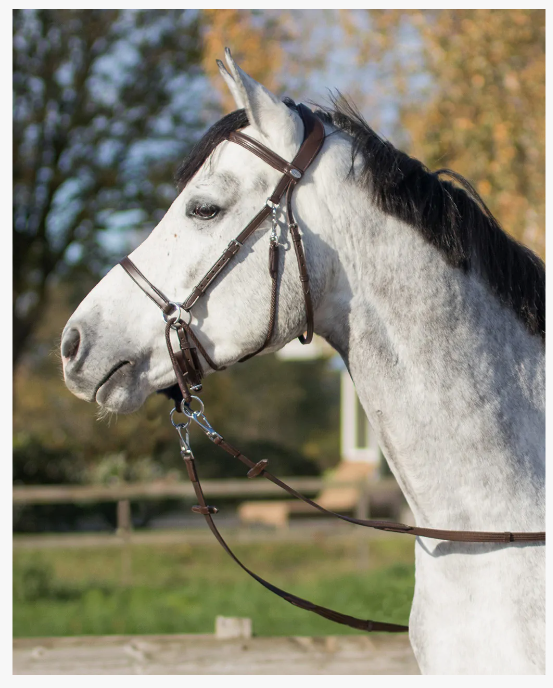 QHP Ceto Bitless Bridle