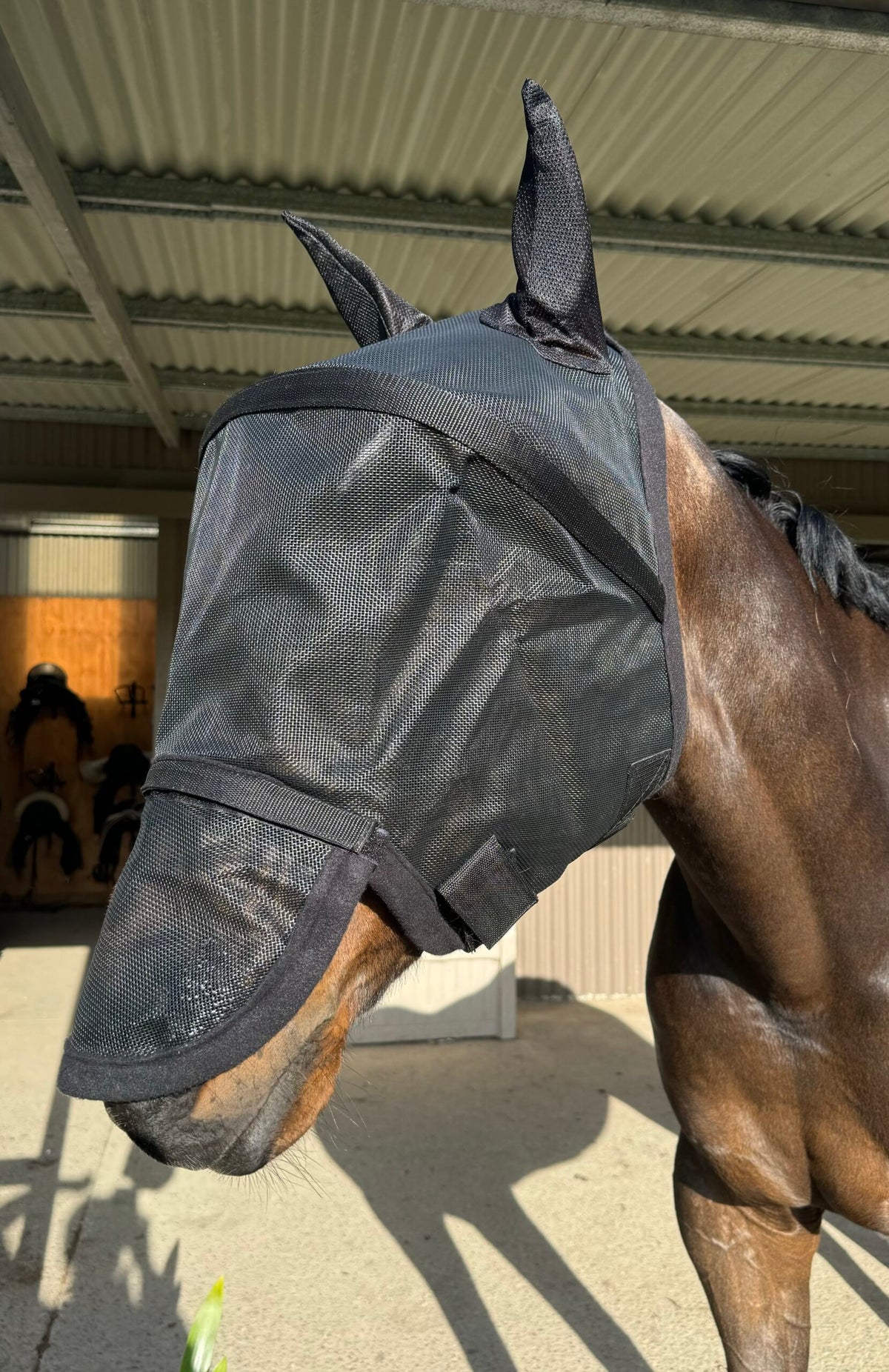 Eureka -3D Fly Mask