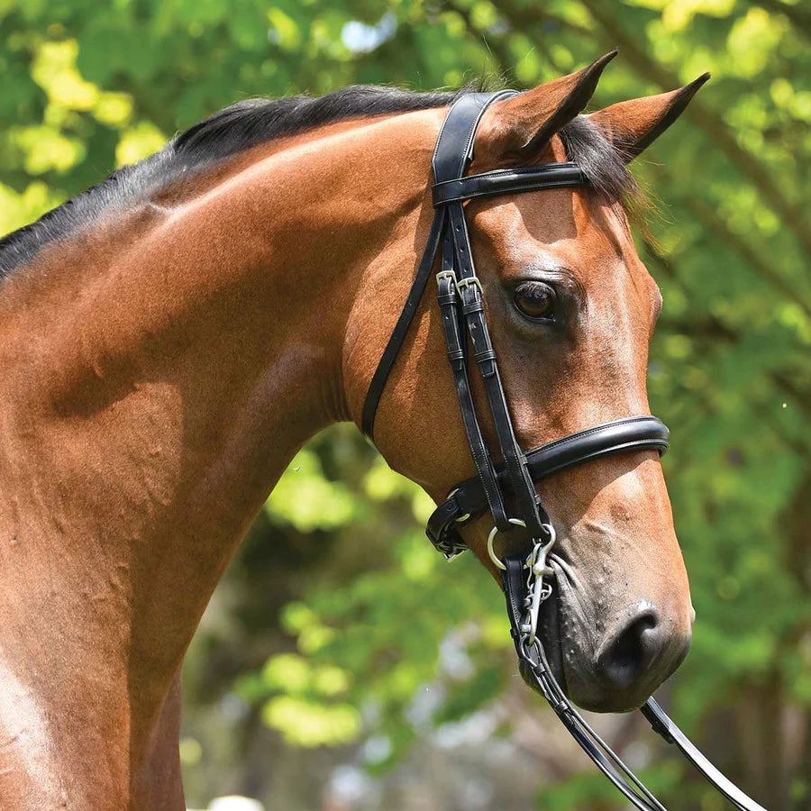 Graine Elite Dressage Weymouth Bridle