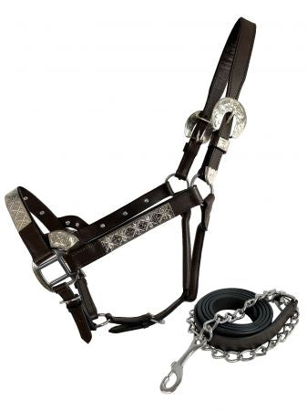 Dark Oil Average Horse Size Leather Double Stitched Silver Bar Show Halter with Lead