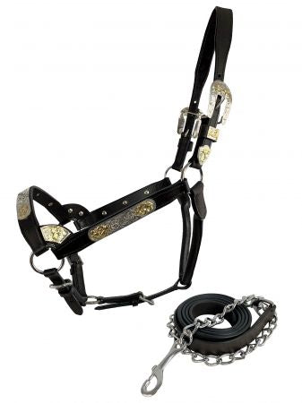 Dark Oil Average Horse Size Leather Double Stitched Silver Bar with Gold Accents Show Halter