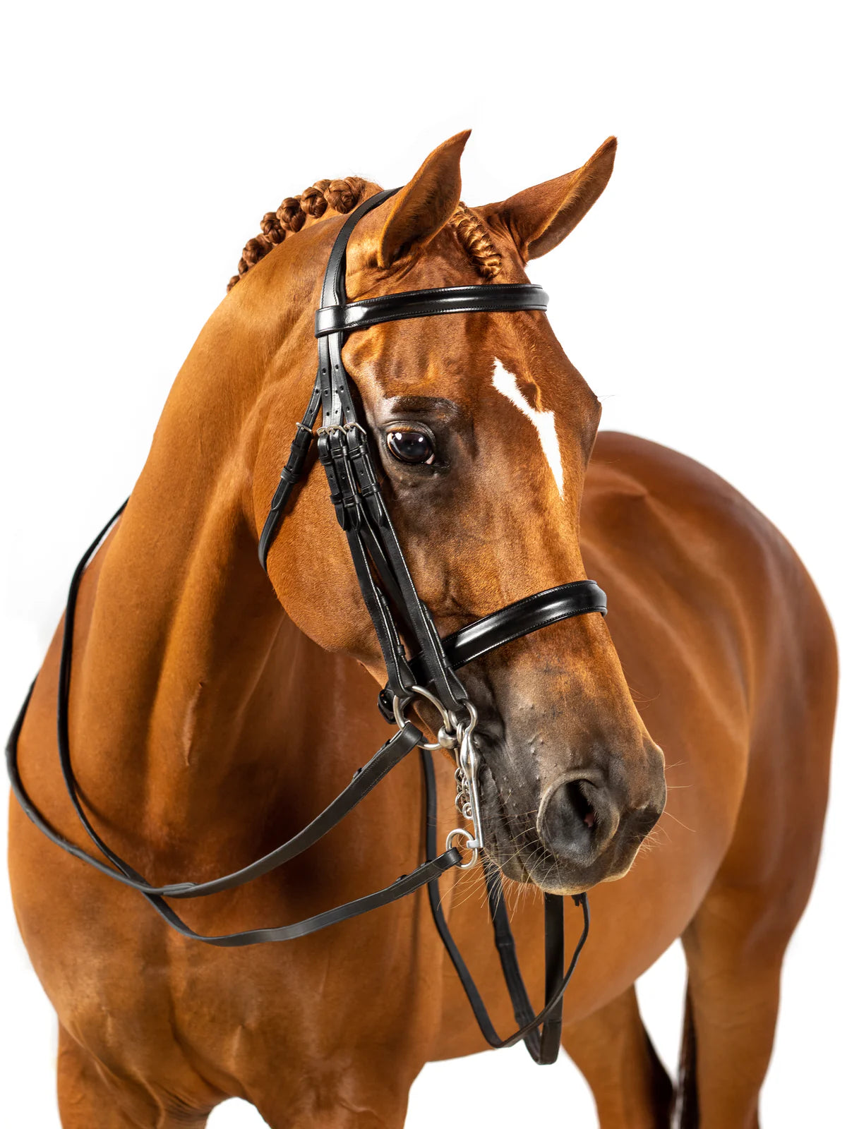 Flexible Fit Glory Premium Double Show Bridle