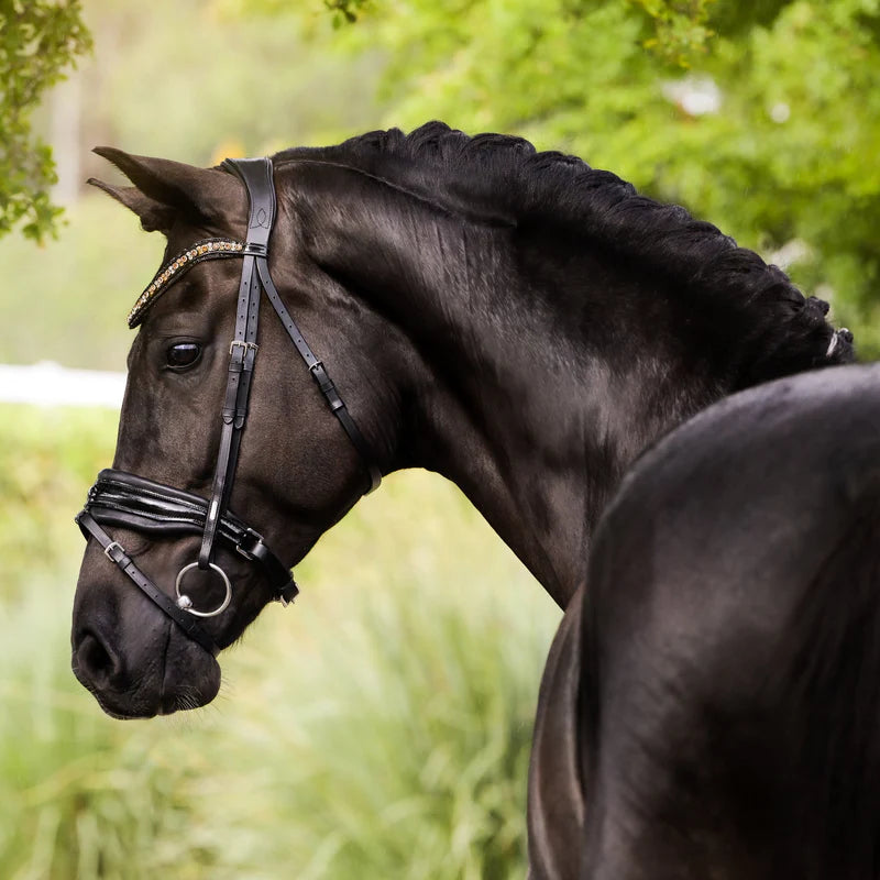 Lumiere Ariana Bridle Snaffle