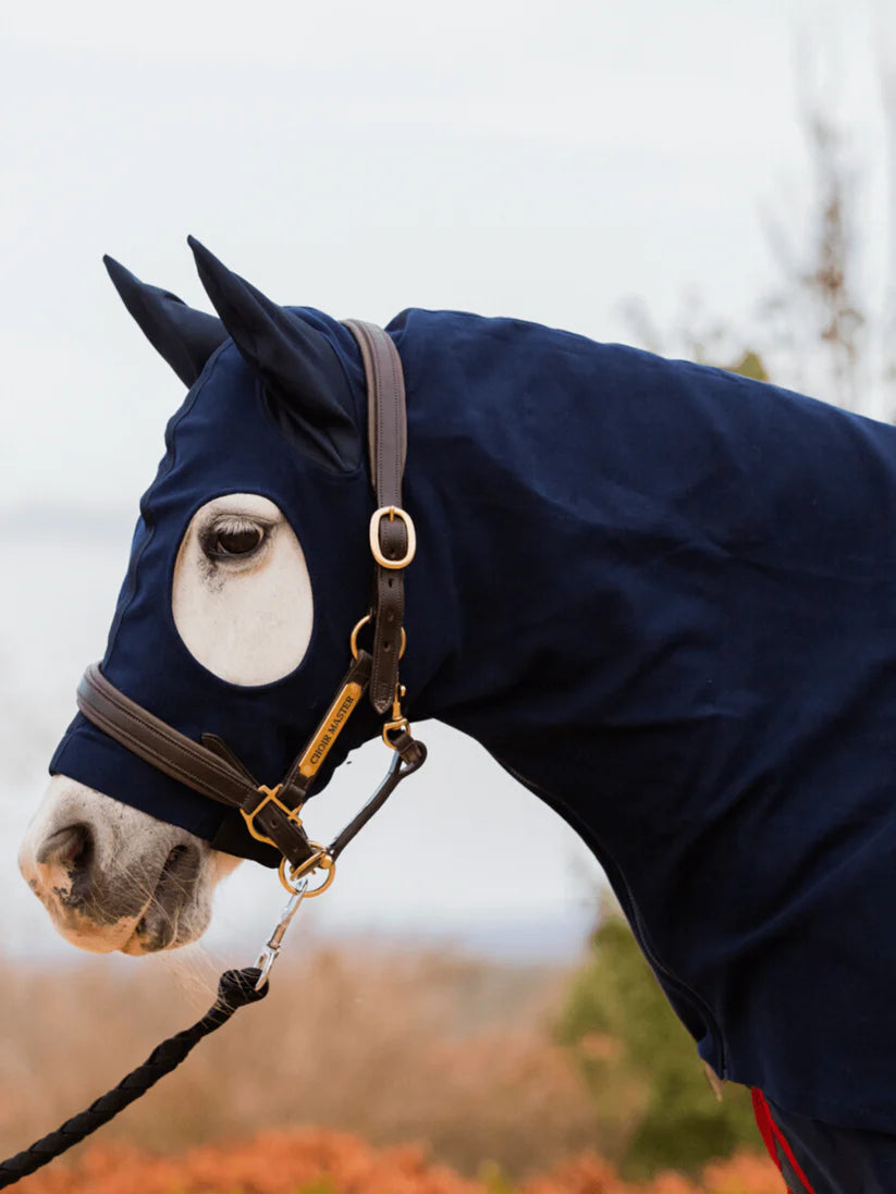 Earlwood Zip Hood With Ears