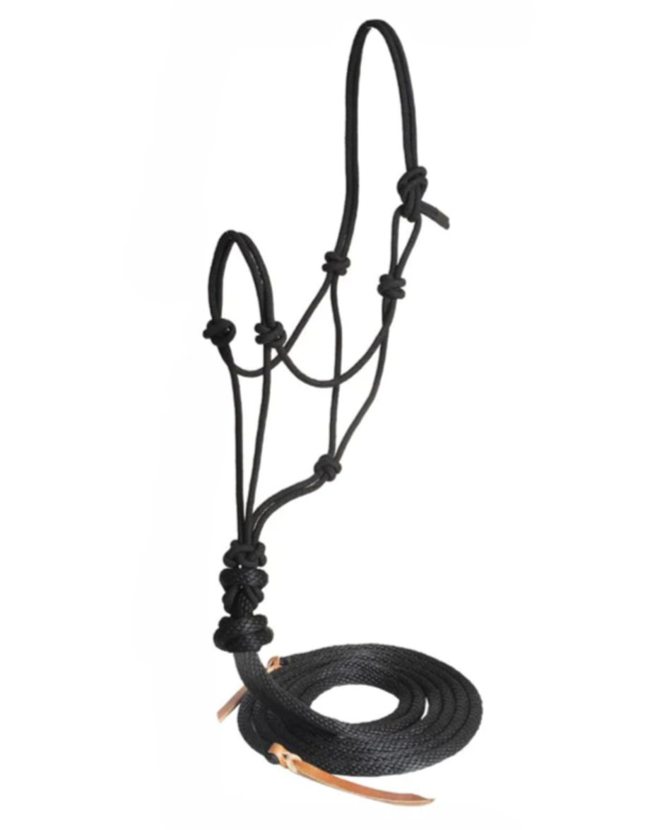 Ezy Ride Nylon Loping Halter with 8ft Split Reins