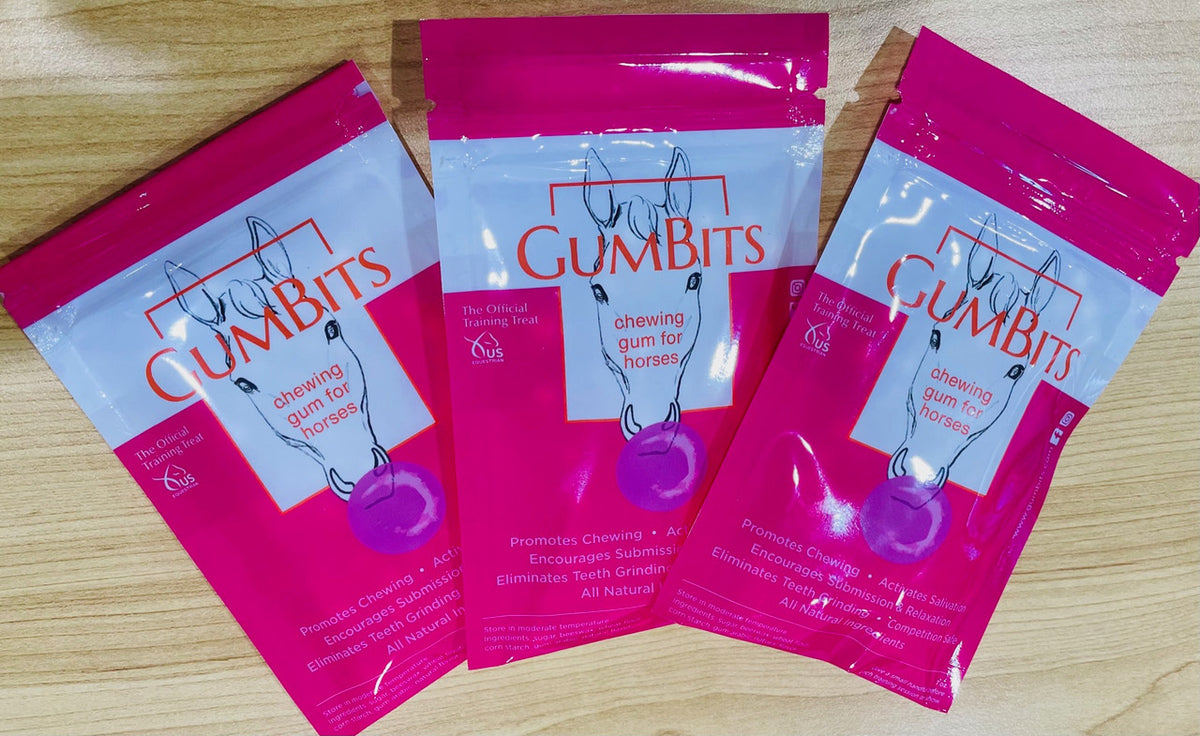 Gumbits One (Single Sachet)