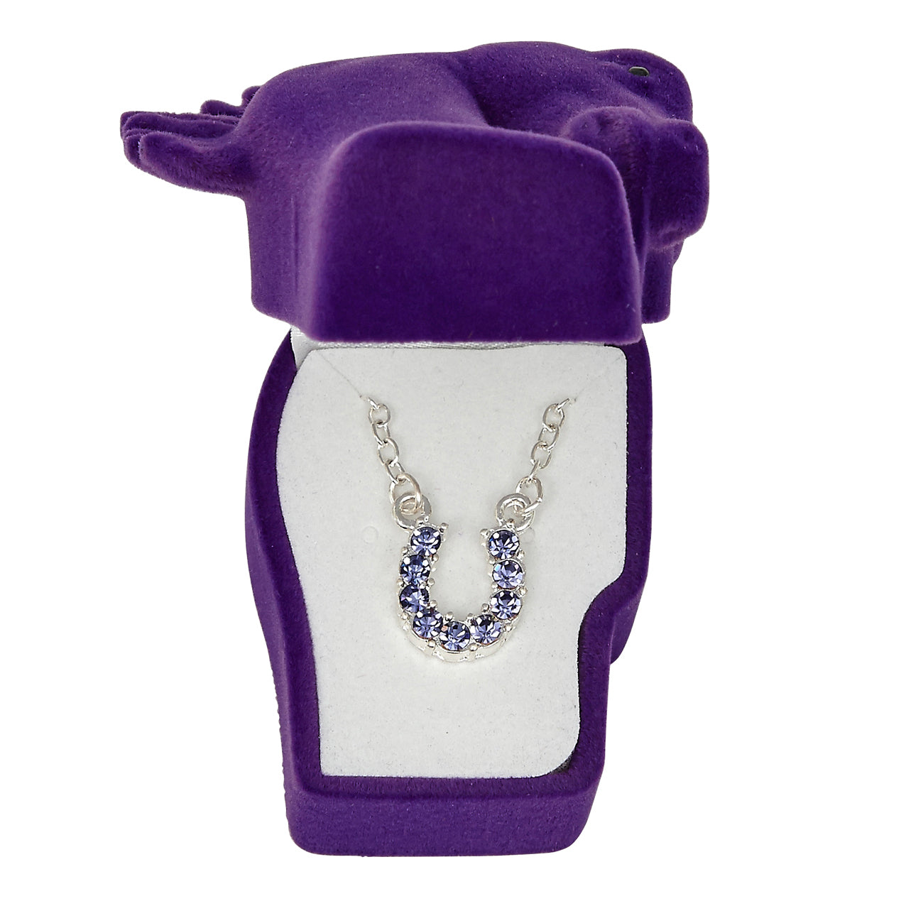 Necklace Purple Rhinestone Horse Shoe