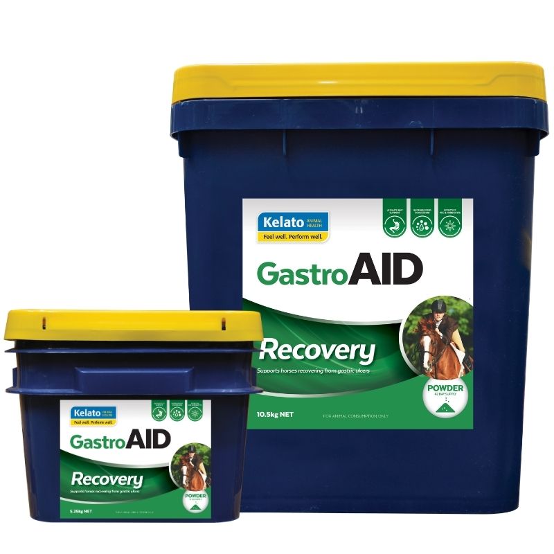 Kelato Gastro Aid Recovery Powder