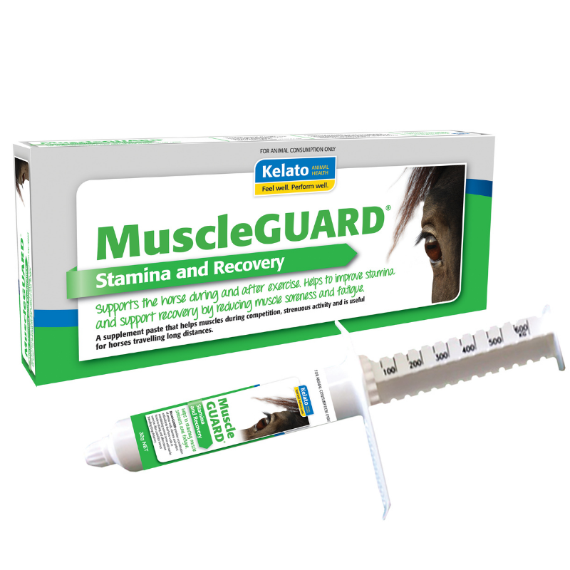 Kelato Muscle Guard 32gm Paste