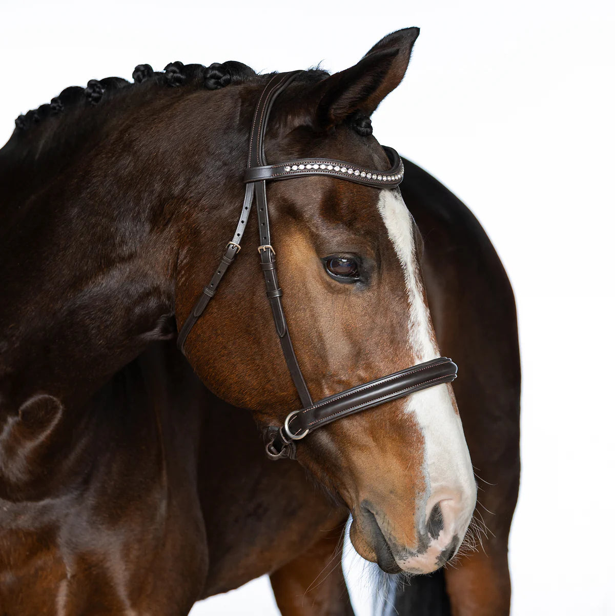 Flexible Fit Astor Bitless Bridle Havana