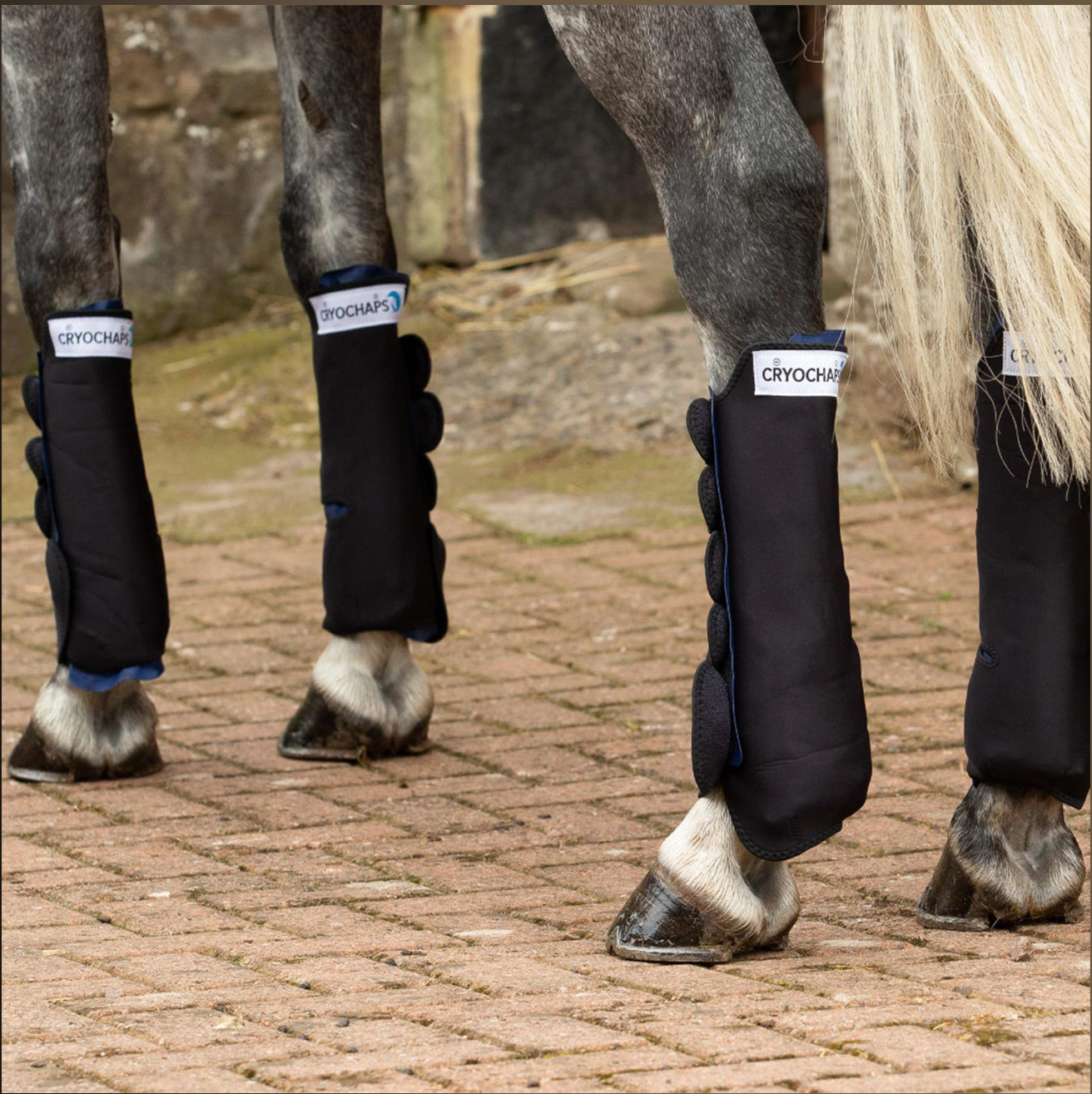 Cryochaps Quad Set - Front and Hind