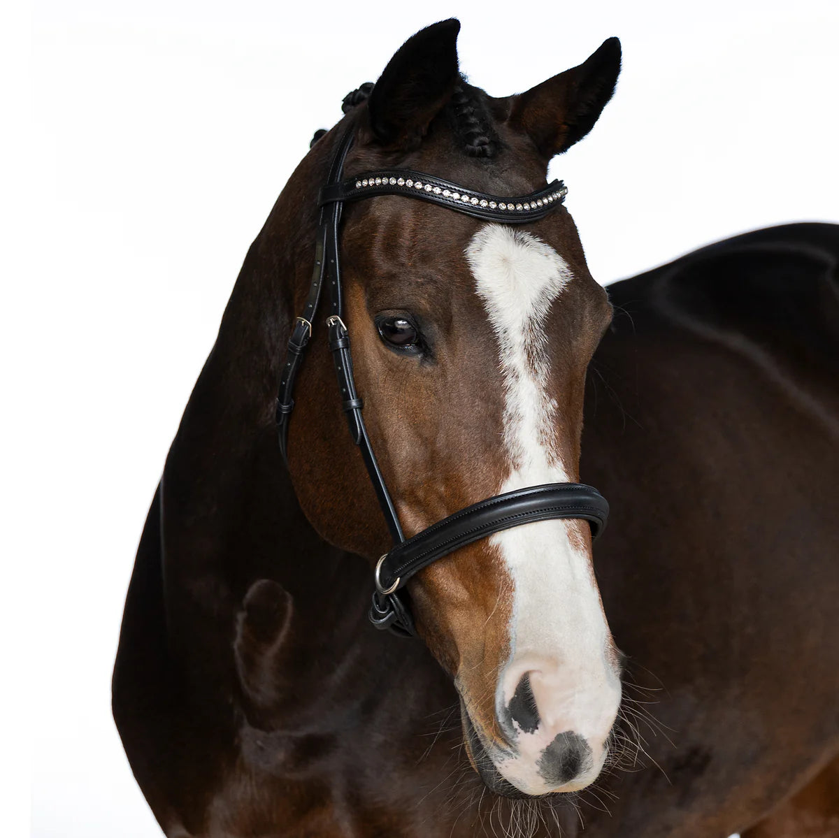 Flexible Fit Constellation Bitless Bridle Black