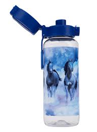 Spencil Big Water Bottle 650ml - Sky Dancer