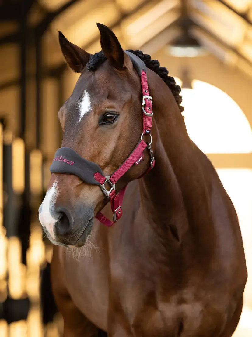 LeMieux Vogue Halter and Lead Set