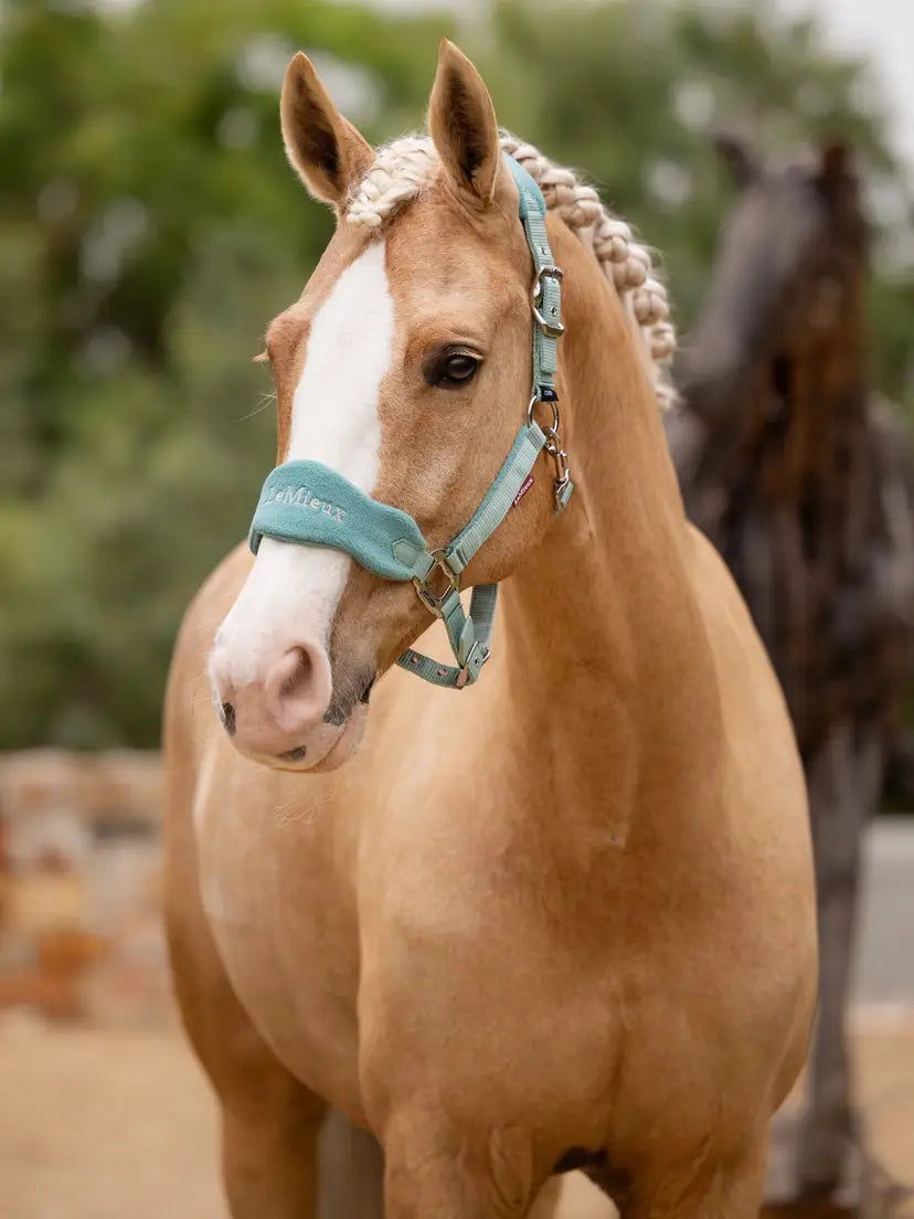 LeMieux Vogue Halter and Lead Set