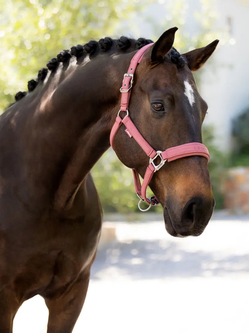 LeMieux Essence Headcollar
