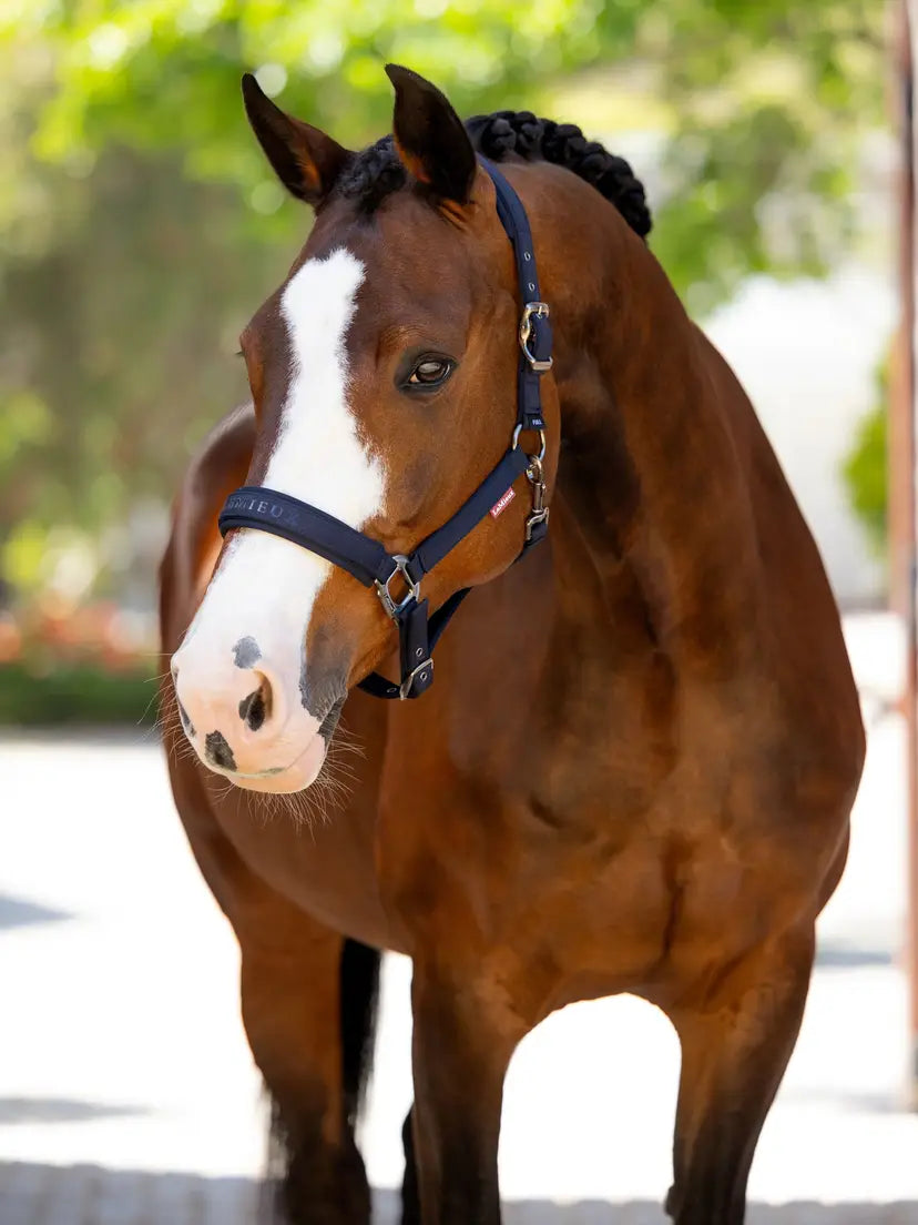 LeMieux Essence Headcollar