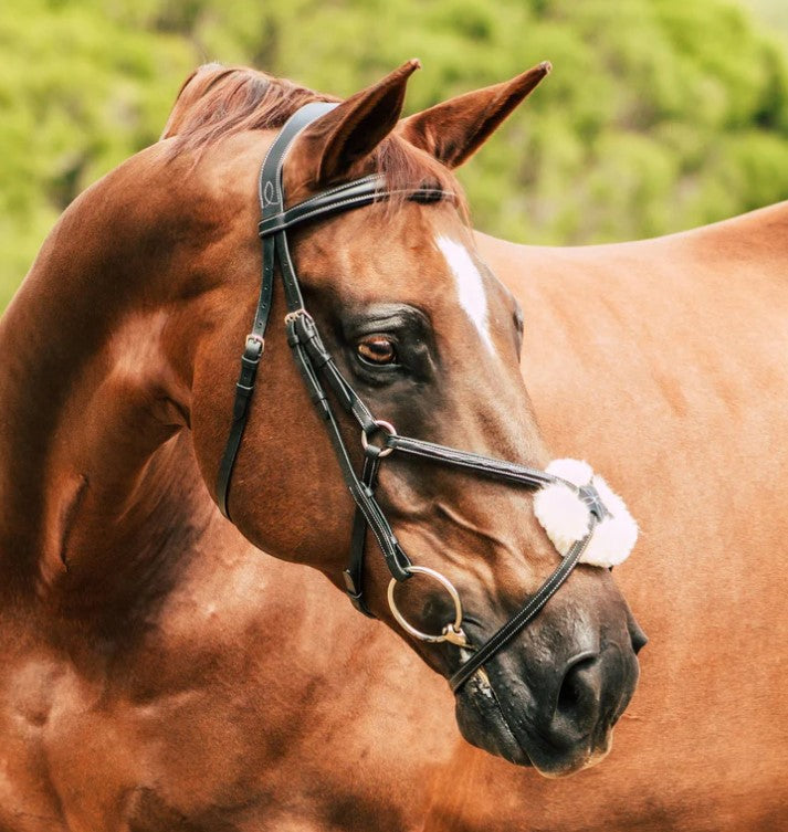 Lumiere Ava Grackle With Sheepskin Standard Leather Rubber Grip Reins