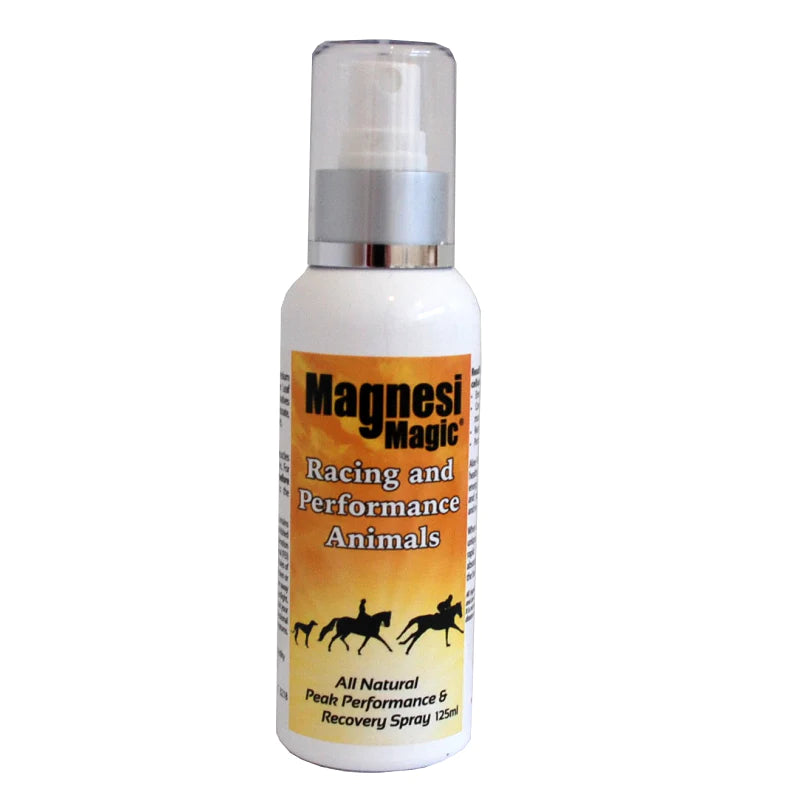 Magnesi Magic Racing and Performance