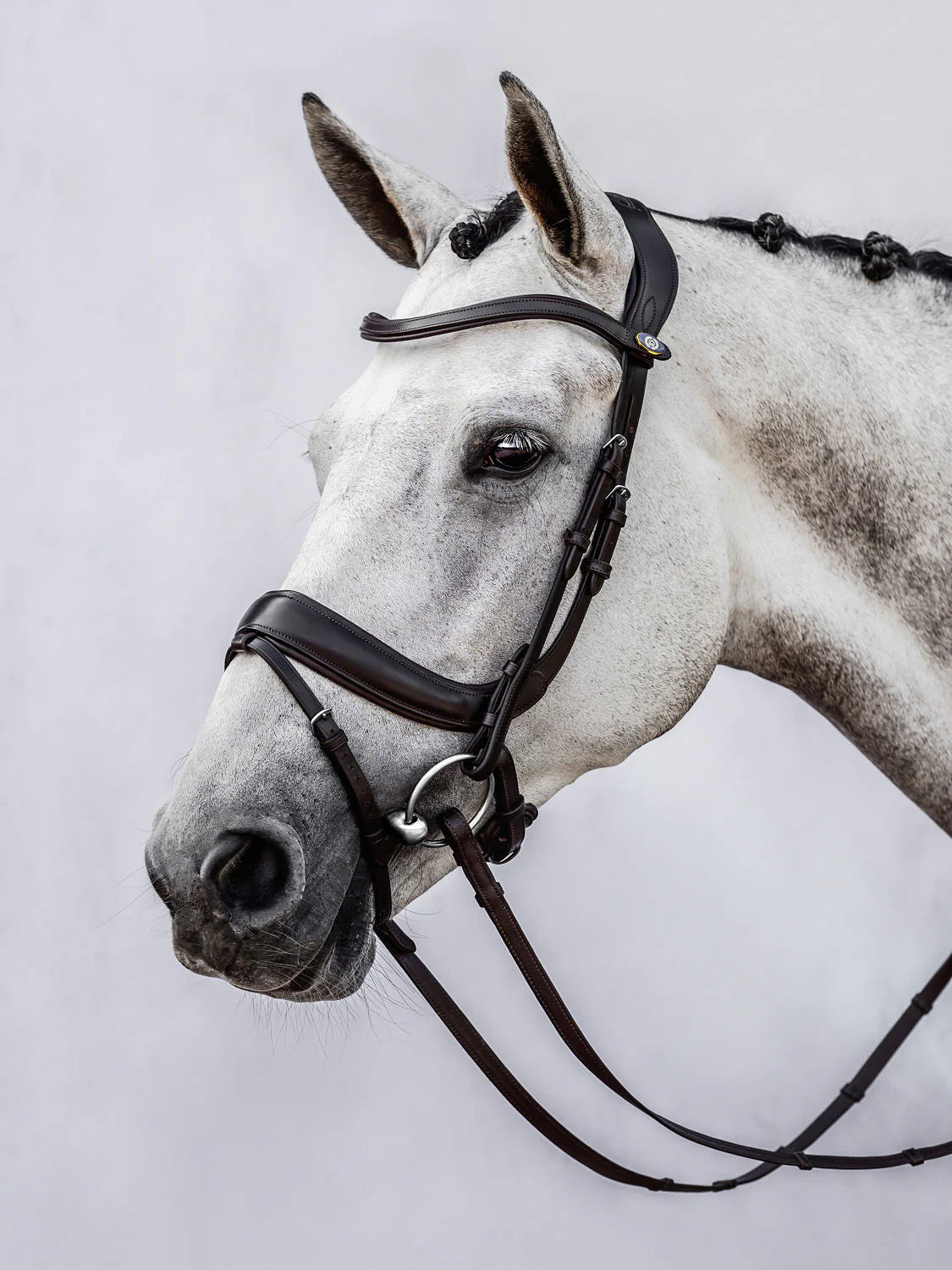 PS of Sweden Paladin Bridle