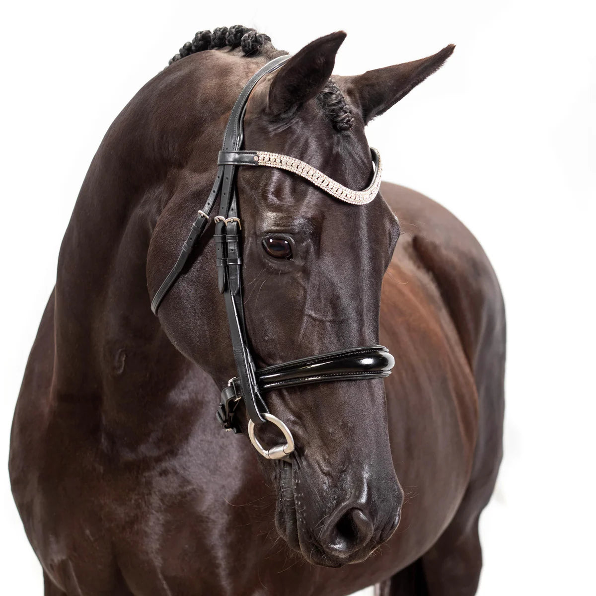 Flexible Fit Premium Snaffle Explorer Bridle