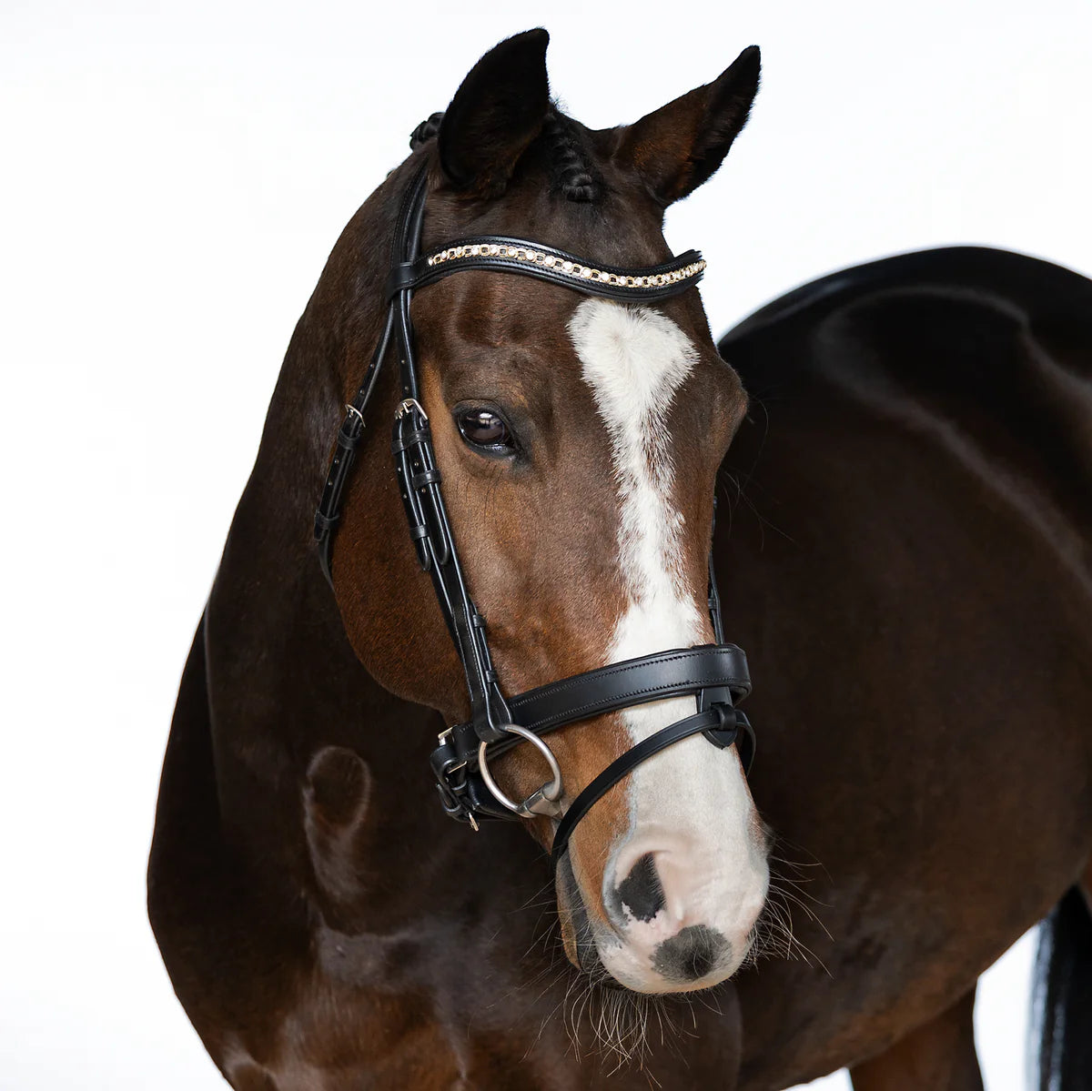 Flexible Fit Snaffle Bridle Willow