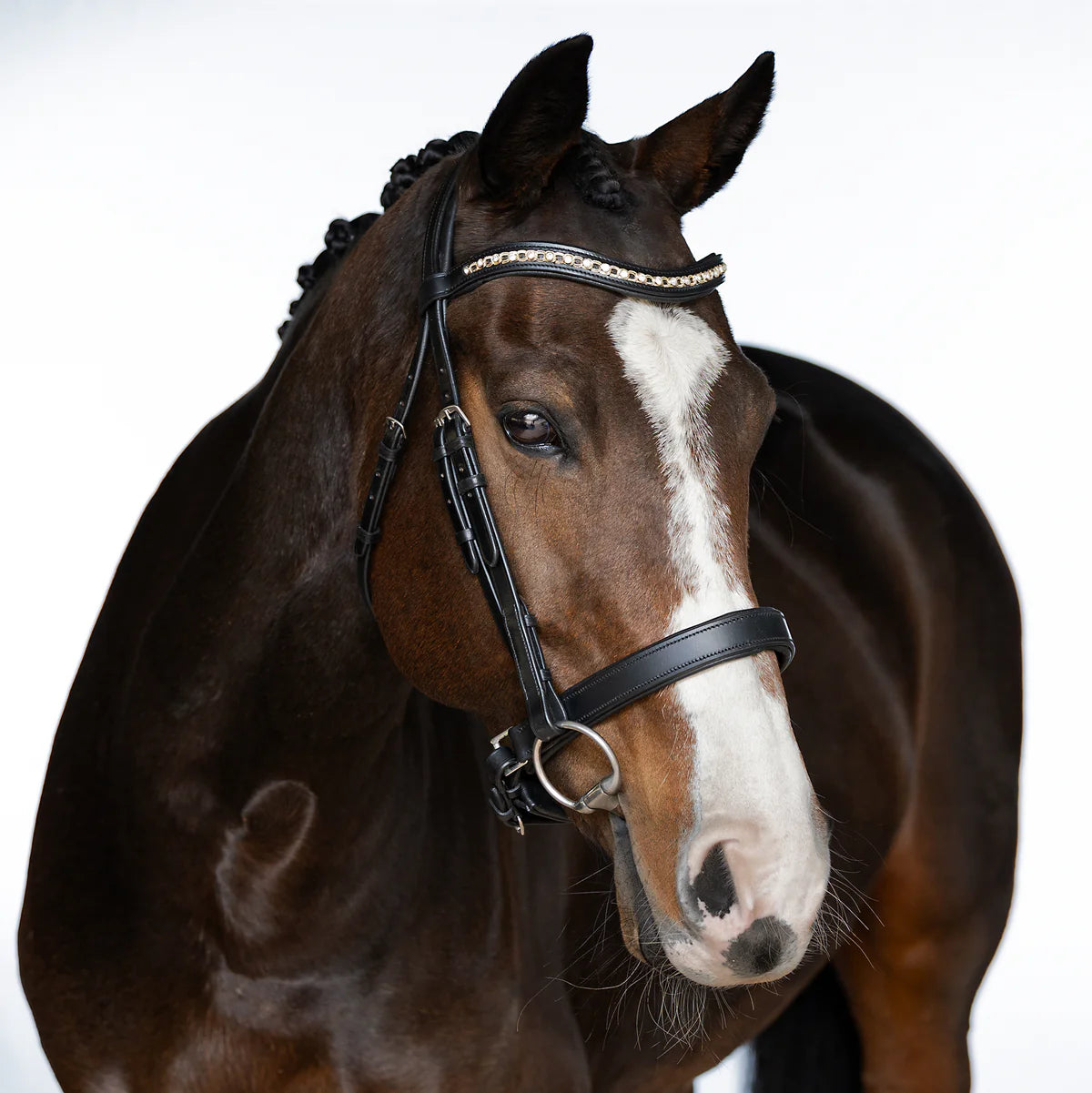 Flexible Fit Snaffle Bridle Willow