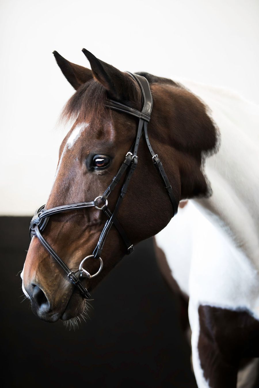 Lumiere Ava Italian Leather Grackle Bridle No Sheepskin With Luxury Padded Nappa Leather Reins