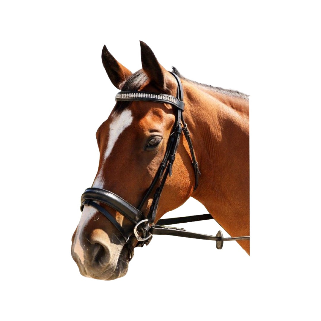 Showcraft Three Layers of Diamonds Bridle