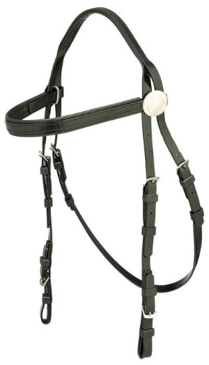 Rosette Race Bridle