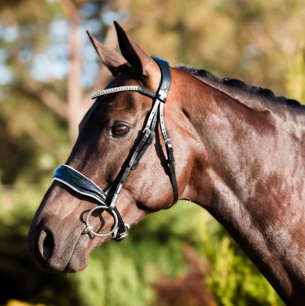 Lumiere Equestrian Adeline Cavesson Italian Leather Bridle With Premium Reins