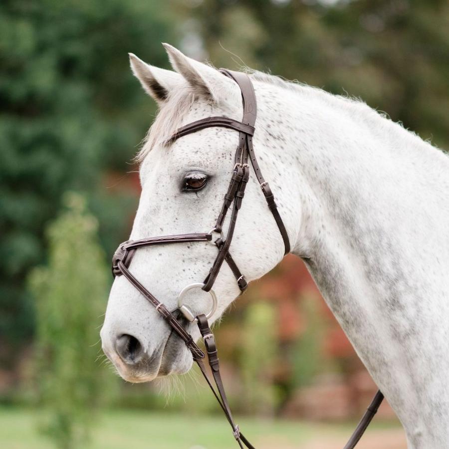 Lumiere Ava Italian Leather Grackle Bridle No Sheepskin With Luxury Padded Nappa Leather Reins