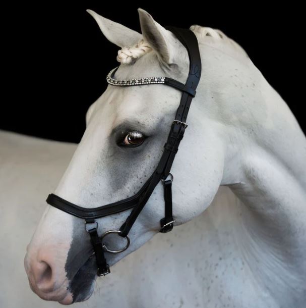 Lumiere Azure Anatomic Leather Bridle (Euro Version) Nappa Leather Reins