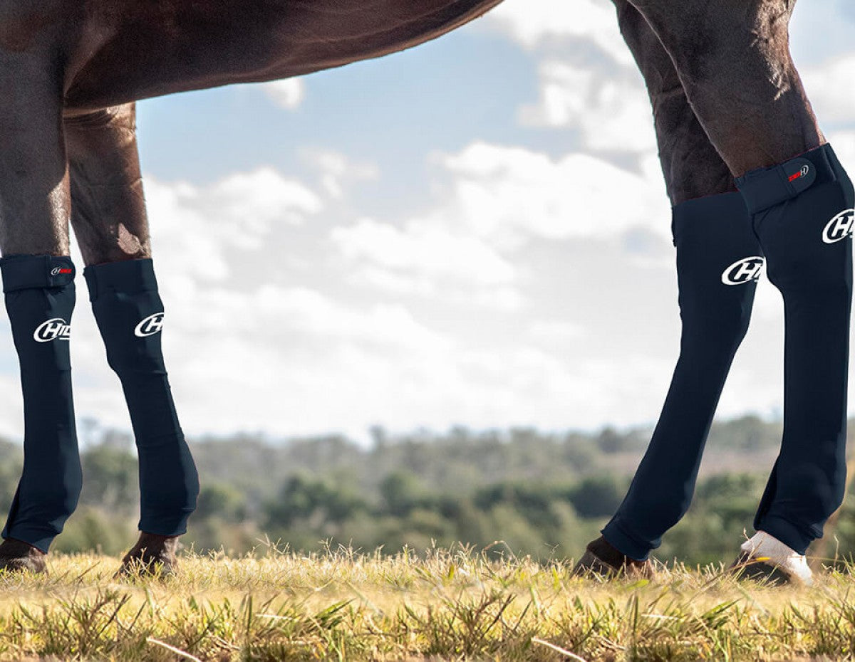 Hidez Eq Front Seamless Comp Sock