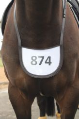 Grainge Elite Number Holder