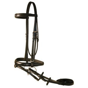 Jeremy And Lord Bling Dressage Bridle