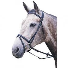 Wintec Bridle With Flash