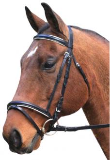 Eureka Eventing Bridle