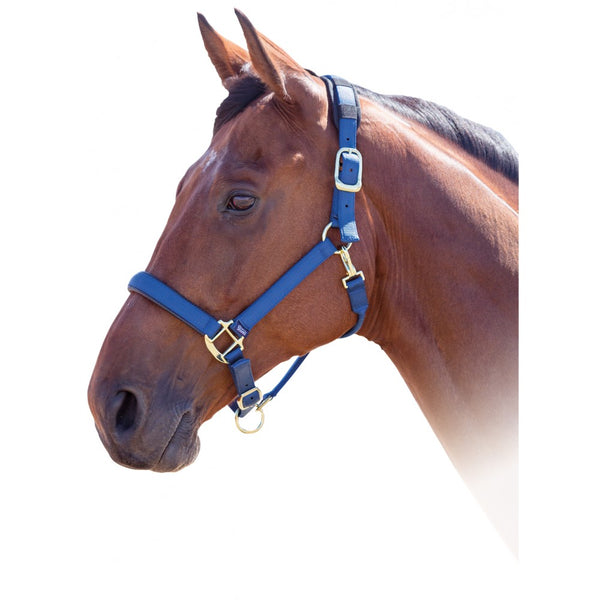 Shires Topaz Nylon Breakaway Halter