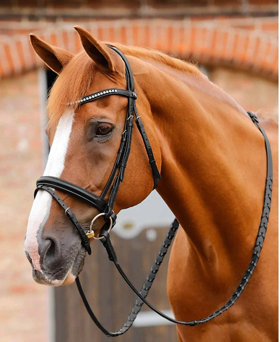 Premier Equine Bellissima Crank Bridle with Diamante Browband