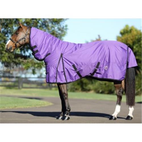 Kozy 600D Nylon Horse Rug Combo Purple