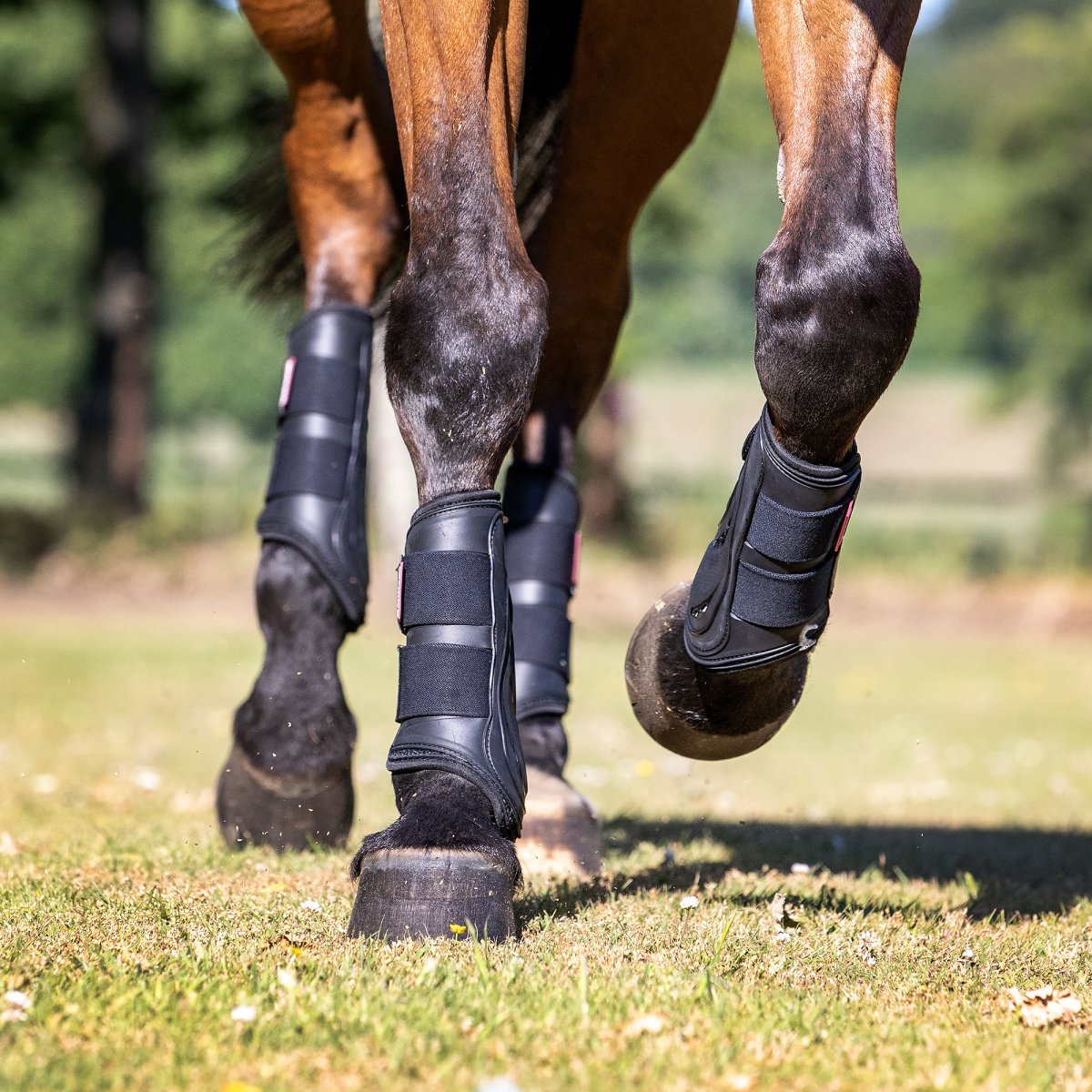 LeMieux Proshell Brushing Boots