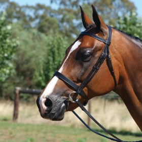 Grainge Elite Show Snaffle