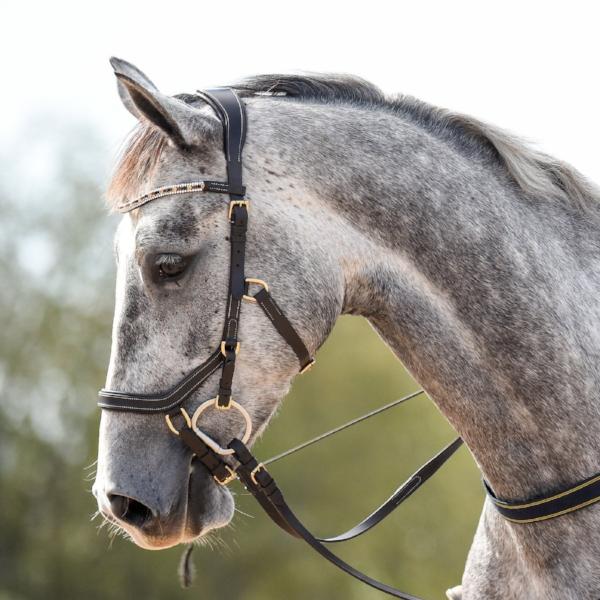 Lumiere Amber Brown Micklem Style With Standard Leather And Rubber Reins